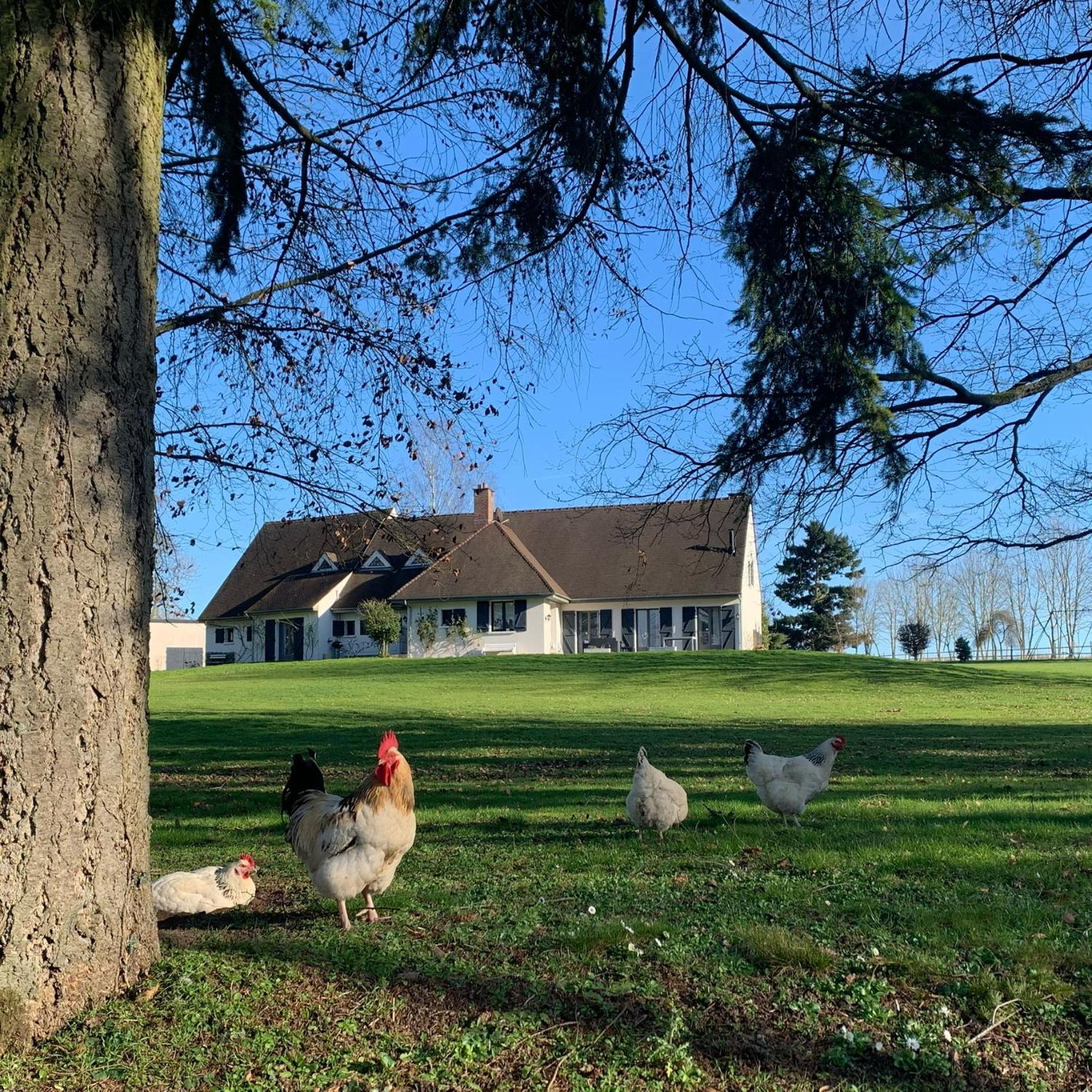 Privatunterkunft Domaine De La Charmille Ermenonville